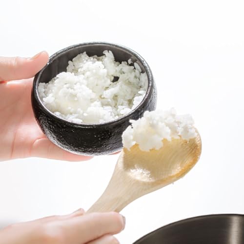 &NE Banko Ware Rice Container, Small, Hare to Ke (Special Occasions), Black, Holds 1 Serving (0.5 cups), Made in Japan, Ceramic, Microwave and Oven Sa