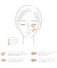 Petal Float Flawless Touch 01 Dark Dullness Control Color To/one (Tone) Concealer, Circles, Cover, Highlight,