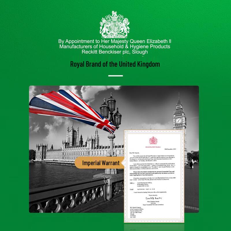 Dettol Sweet Peach Moisturizing Shower Gel