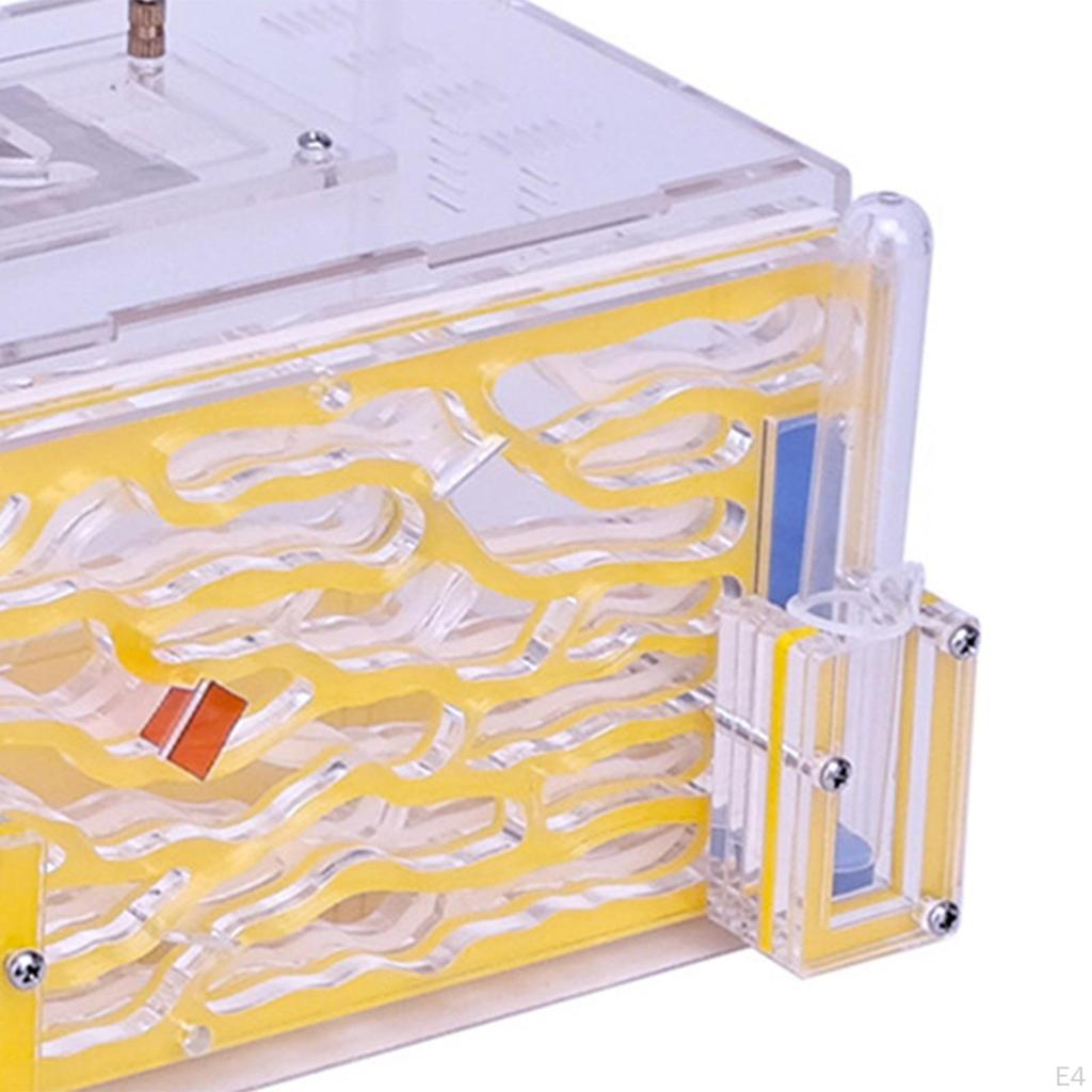 Obudowa Gniazdo Farma Siedlisko Klatka Hodowlana na Urodziny Dzień Dziecka