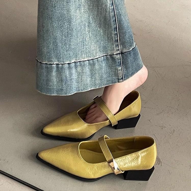 French Pointed Thick Heel Mary Jane Shoes Women's Spring 2025 New One-word Belt Low Heel Versatile Skirt Single Shoes