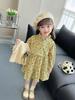 Girls' Stylish Princess Vest Dress Set – Long-Sleeve Floral for Spring & Autumn 2025