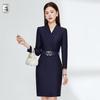 Women's Professional Work Dress