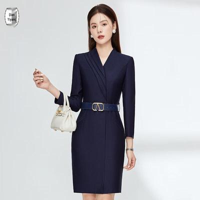 Women's Professional Work Dress