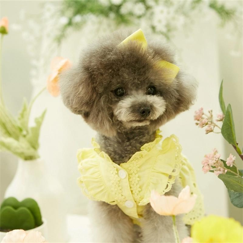 Dog Dress Yellow Lace Ruffle Dress Wedding Party Dress Cat Clothes Poodle Teddy Chihuahua Clothes