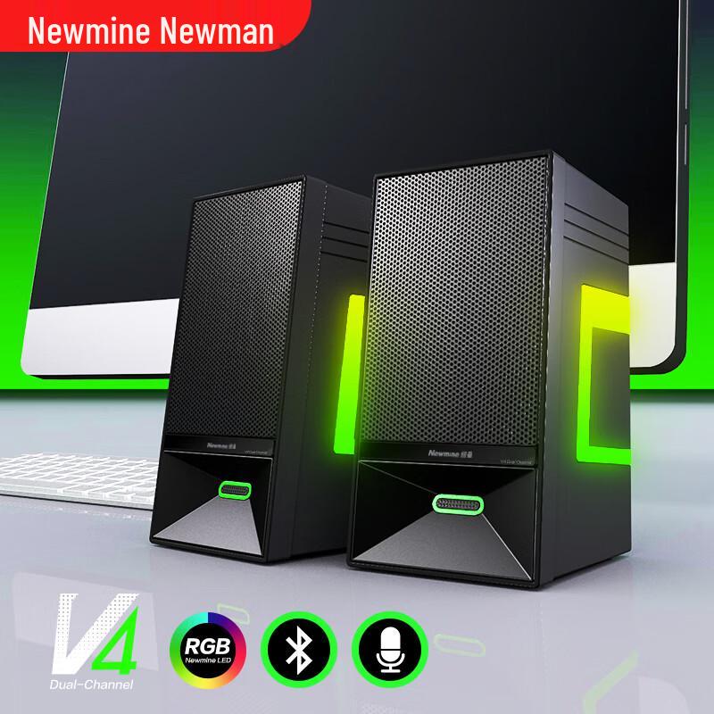 Newmine V4 Bluetooth 5.3 Desktop Speakers