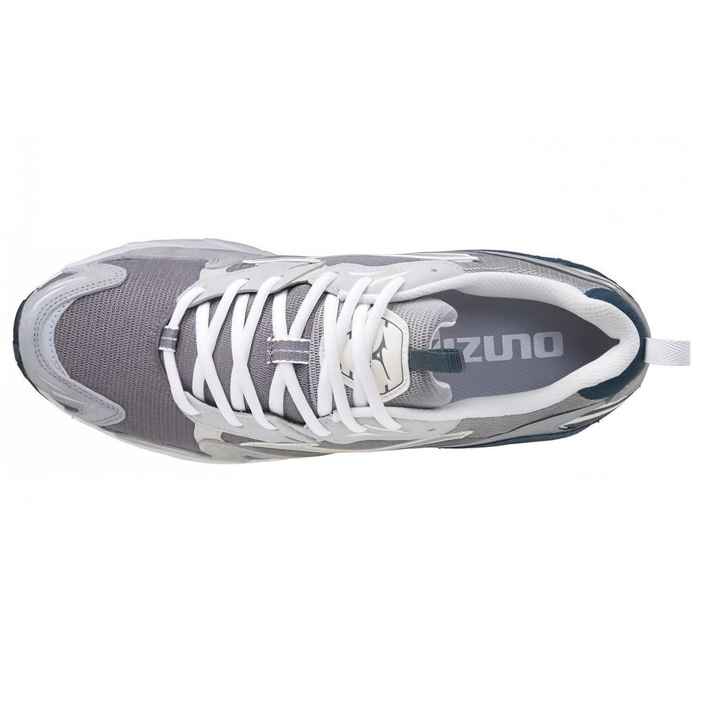 Wave Rider 10 Mizuno Premium 'Iron Gate' D1GA222607