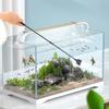 Aquarium Cleaning Tool Fish Tank Flat Sand Algae Removal Dual-use Glass Algae Removal Scraper Household Cleaning Supplies Tool