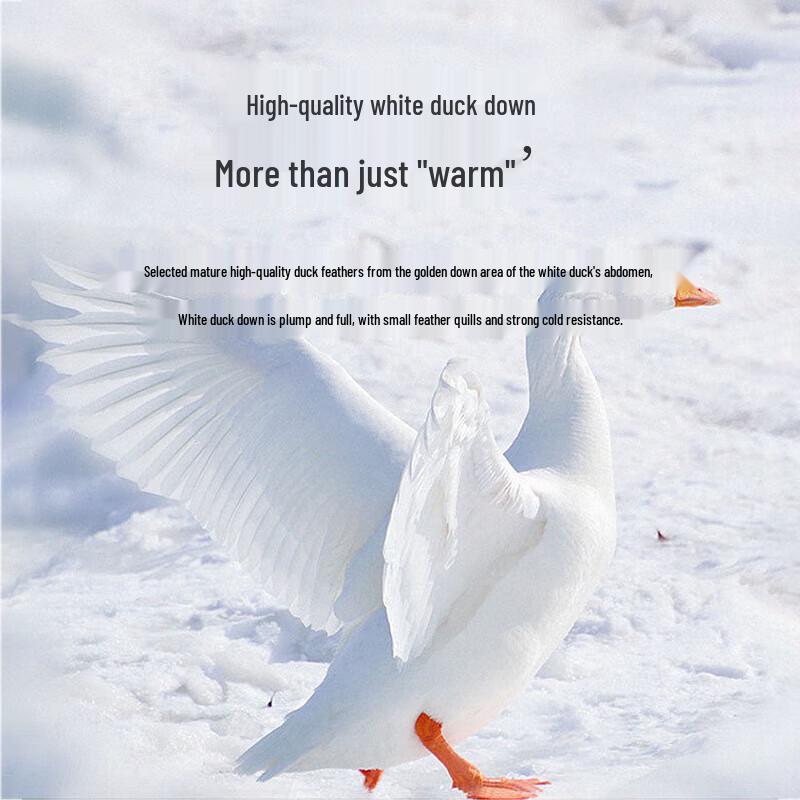 Ran White Duck Down Winter Quilt