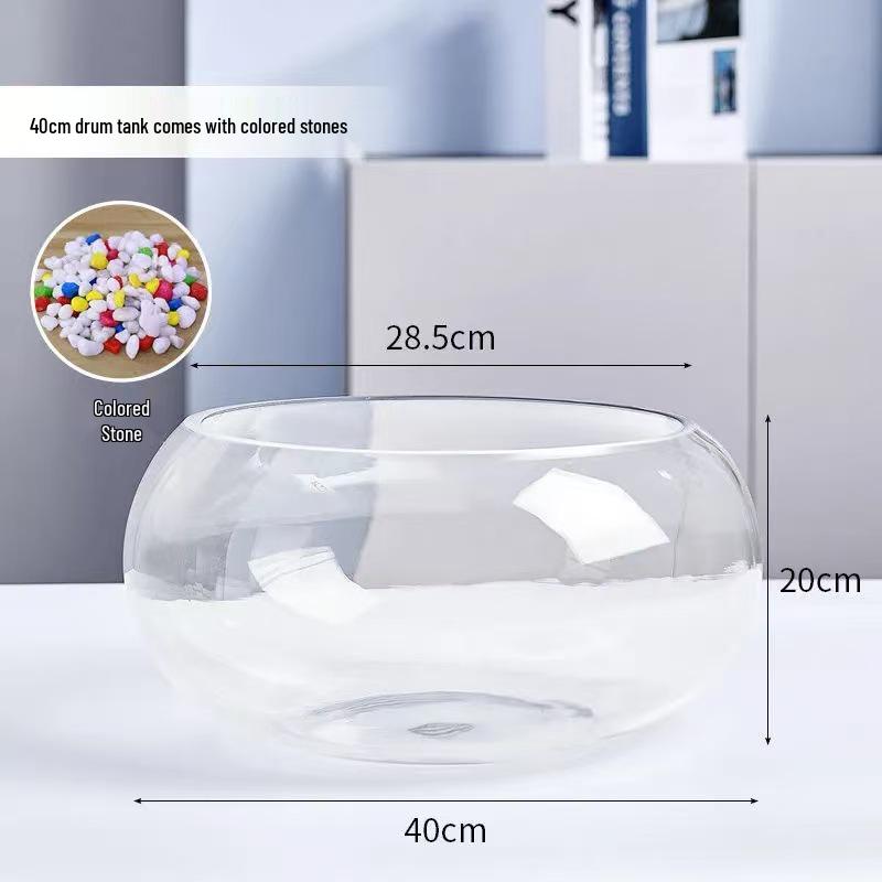 Creative Round Glass Fish Tank for Desktop, Office, or Living Room