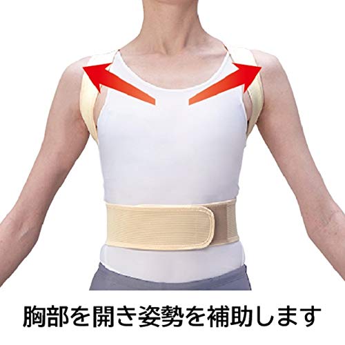 Nakayama Style Spine Medicine Kyosei Belt Mesh Size M Waist 65-85cm Height 155-165cm