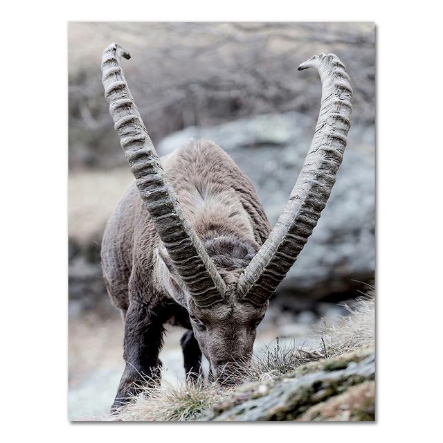 Scandinavian Poster and Print Winter Nature Landscape Canvas Painting Beer Deer Animal Wall Art Picture Nordic Style Home Decor No Frame