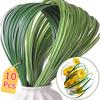 10pcs/bundle Plastic Room Flat Leaves Nature Decoration Fresh Flower Arrangement Simulation Flower Green Bending