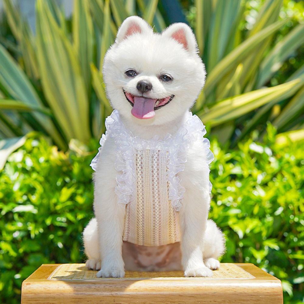 Elegant Pet Vest Shirt Hollow Dog Clothes Comfortable Cat Dress  Autumn