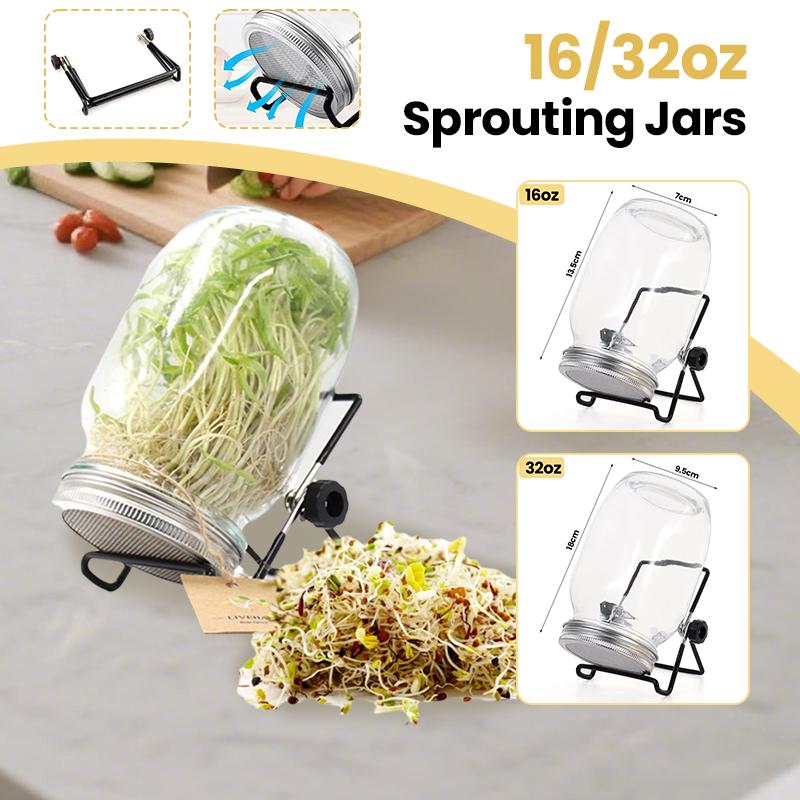 Organic Glass Wide Mouth Mason Jar Sprouting Kit 16 & 32oz Seed Germination Set with Stainless Steel Screen Lids