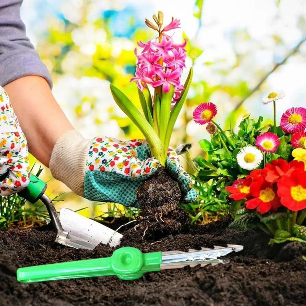 Venkovní zahradní plecí klip Zahradní nářadí Pinzeta Plecí nástroj na sukulentní rostliny Nástroj na vytrhávání plevele