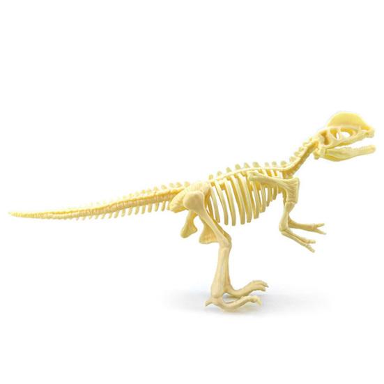 7Pcs/Set  Dinosaur Model Creative Collectible Detailed Archeological Dinosaur Skeleton Toy for Child