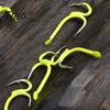 Live Bait Hook 10Pcs Metal Classic Double Fishing Hooks, High Carbon Steel Hooks with Earthworm Barbs, Sharp Open Shank Anti-Escape for Freshwater
