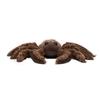 Jellycat Insect Series Long-legged Spider Creative Doll Plush Doll 4cm Height