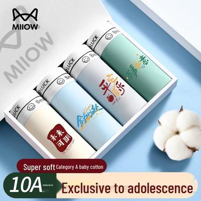 4-Pack Boys' Cotton Anti-Bacterial Boxer Briefs (12-16 Yrs)