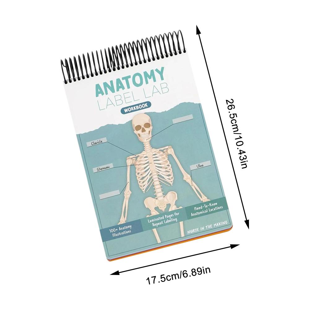 100+ Detailed Anatomy illustrations Perfect for Students Entering Nursing Physical Therapy Radiology Pre-med and So Much More