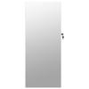 VidaXL Jewelry Cabinet with Mirror and LED Lighting Wall-Mounted White 353241