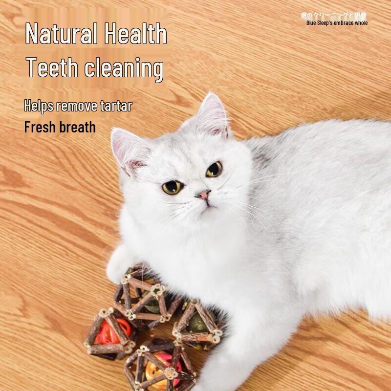 Catnip & Matatabi Ball Cat Toy with Bell Teething Stick