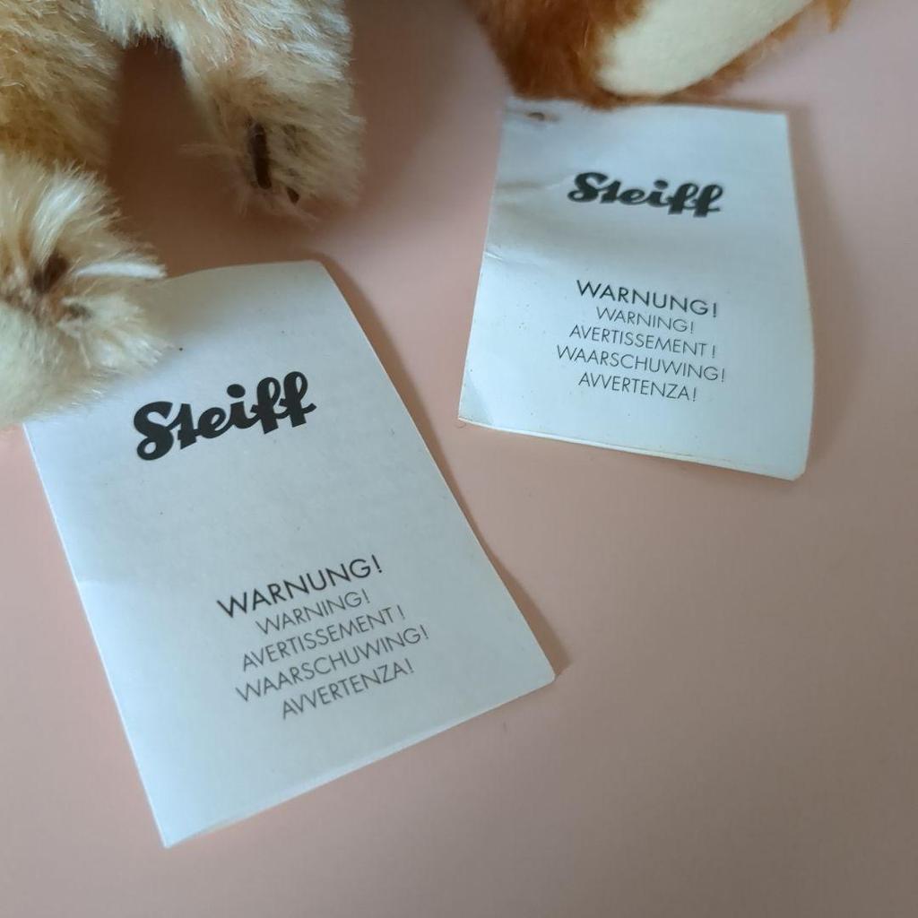 [USED] Steiff William & Henry Brothers Teddy Bear In a Tin