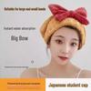 Cute Double-Layer Quick-Dry Hair Towel: Super Absorbent, No Shedding, Ideal for Dorm Use