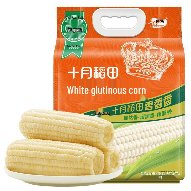October Rice Field Waxy Corn Cobs