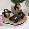 Fashion Summer Women's Sandals New Wedge Heeled Sandals Women 2025 Chunky Platform Women Shoes Fashion Ankle Buckle Thick Sole Sandalias