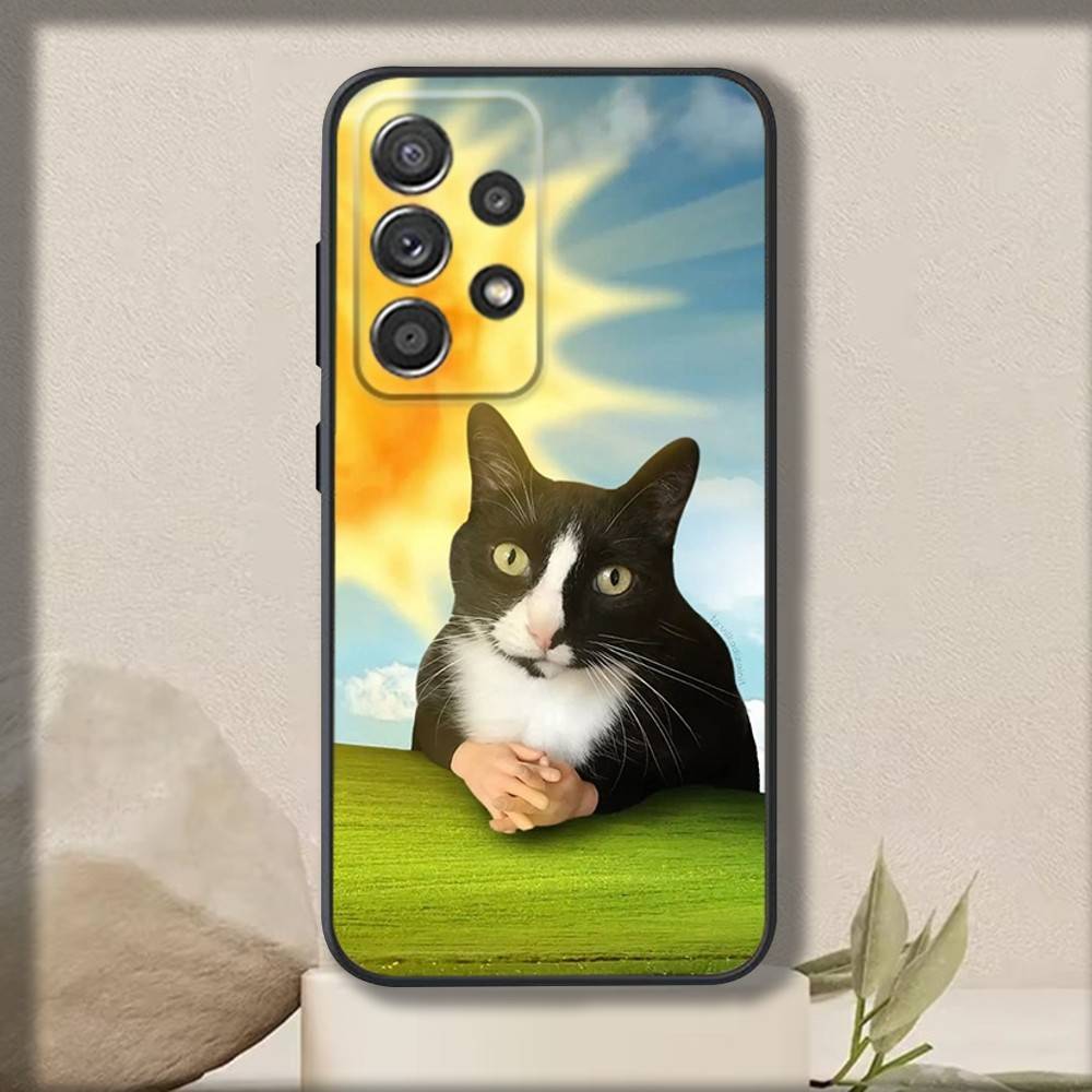 Cute Cat Meme Phone Case For Samsung S 25,24,23,22,30,21,10,9,Ultra,Plus,Lite,FE,4,5 G Soft Black Case