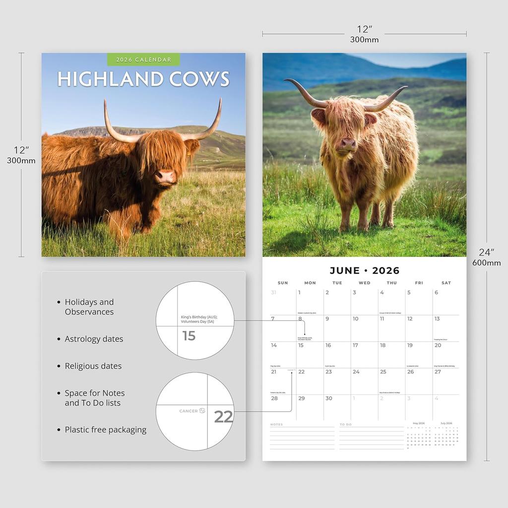Red Robin 2026 Highland Cows Monthly Wall Calendar | 12" x 24" Open | Premium Thick & Sturdy Paper | Hangable 12 Month Calendar | Lined Notes & To Do