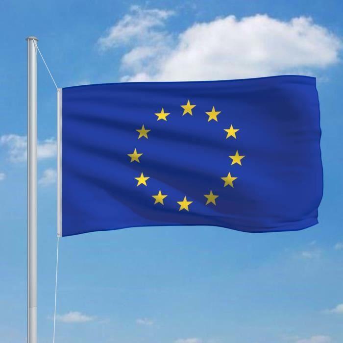 VidaXL European Union Flag 90x150 Cm