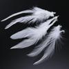 800-1000 PCS/Lot White Rooster Feathers Trim 4-8" Chicken Feather Strip Natural Feather Plumes Jewelry Costume Hat Party Decor