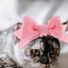 Dog Hair Bows Set for Small Dogs Puppy Festival Party Halloween Grooming Decor Pet Headband Bowknot Accessories Gift