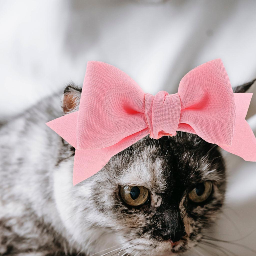 Dog Hair Bows Set for Small Dogs Puppy Festival Party Halloween Grooming Decor Pet Headband Bowknot Accessories Gift