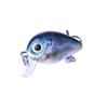 5pcs Fishing Lure Mini Crankbait Floating Wobbler Fishing Hook Set with Fishing Tackle Box