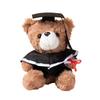 Graduation Teddy Bear In Doctor's Gown with School Emblem - Perfect for Graduation Gifts