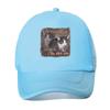 “Cat Philosophy Humor, Meme Art Design” Mesh Baseball Cap