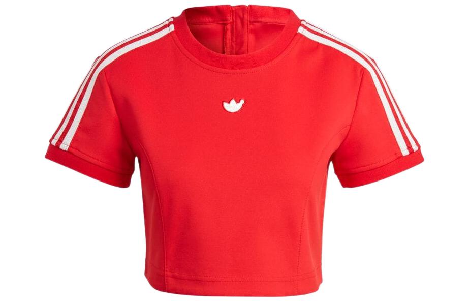 adidas originals Blue Version Logo Patch Cropped T-Shirt IB4549 XS
