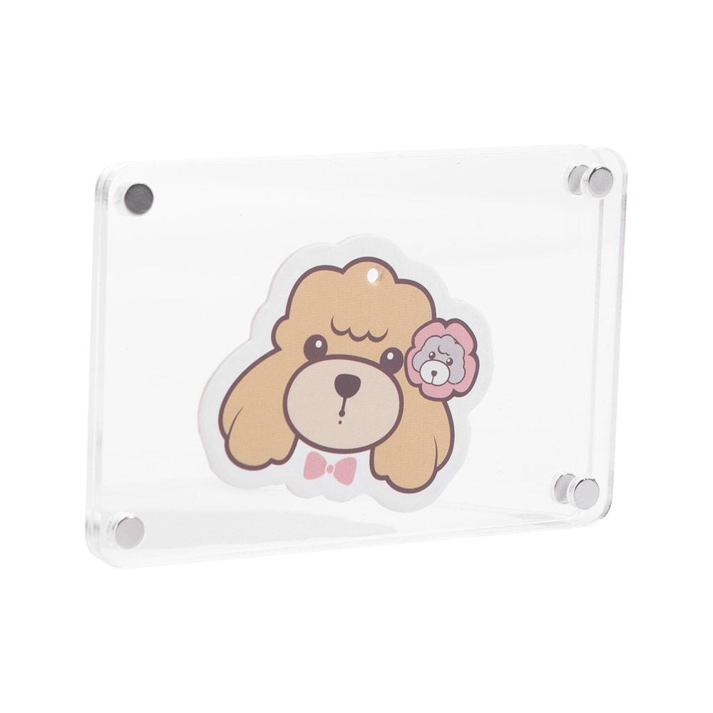 5pcs Acrylic Fridge Magnetic Photo Frame Transparent Double Sided Card Display Frame Wide Use Easy Replacement