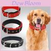 Pet Collar Made Of Pp Polypropylene Breathable And Comfortable Suitable For All Seasons