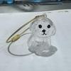 Clear Dog Furs Keepsakes Keychain,Dog Hair Holder Keychain Pet Furs Keepsakes Keychain Memorial Keyring Pet Lover Gift