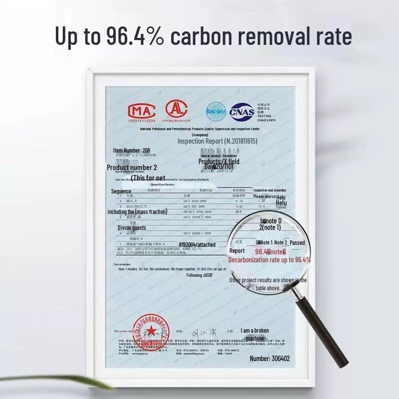 BAFU G17 Fuel Additive: Carbon Remover & Carburetor Cleaner