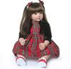 Reborn Toddler Dolls Realistic Girl 24 Inch Real Looking Soft Silicone Limbs and Head Soft Cloth Cute Baby Dolls with Beautiful Princess Dress