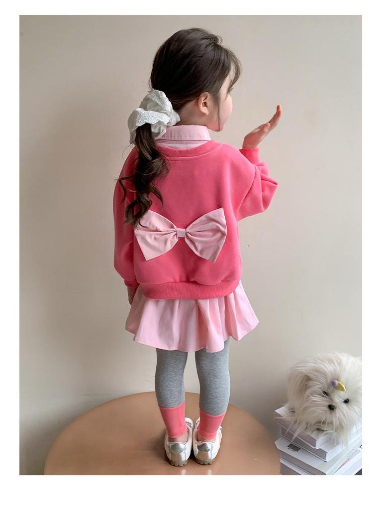 Trendiges zweiteiliges Set für Frühling & Herbst 2025: Stilvolles Sweatshirt & Hose für kleine Mädchen