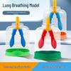 Junior High Physics Lung Breathing Simulator: Diaphragm Movement Model for Gas Exchange Teaching Aid.