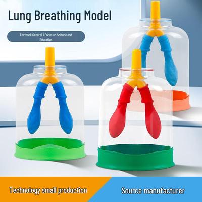 Simulateur de respiration pulmonaire pour collège: Modèle de mouvement du diaphragme pour aide pédagogique à l'échange gazeux.
