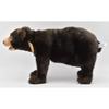 Malayan Sun Bear No. 5234